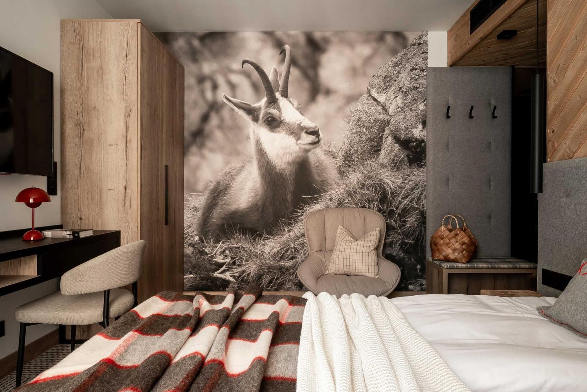 Stefanova Zakopane Aparthotel & Spa Екстер'єр фото